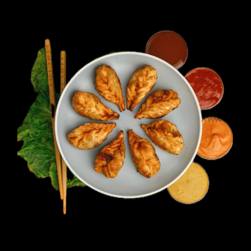 Fried Veg Momos